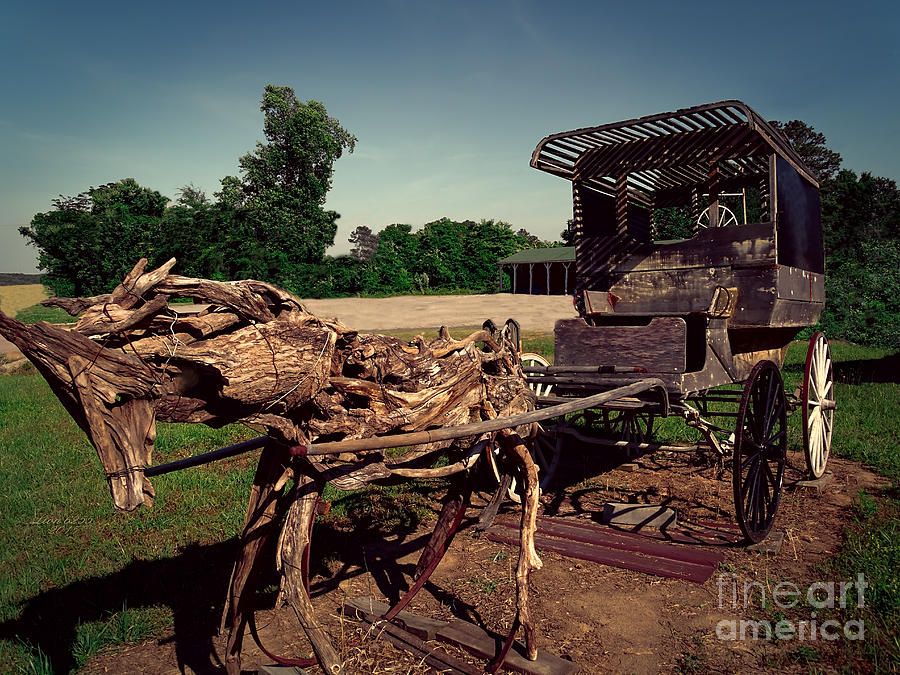 Wooden Horse And Buggie Photograph by Melissa Messick