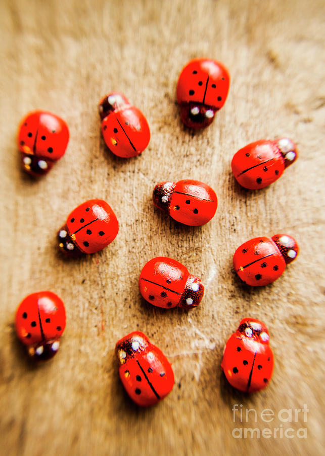 Wooden ladybugs Photograph by Jorgo Photography