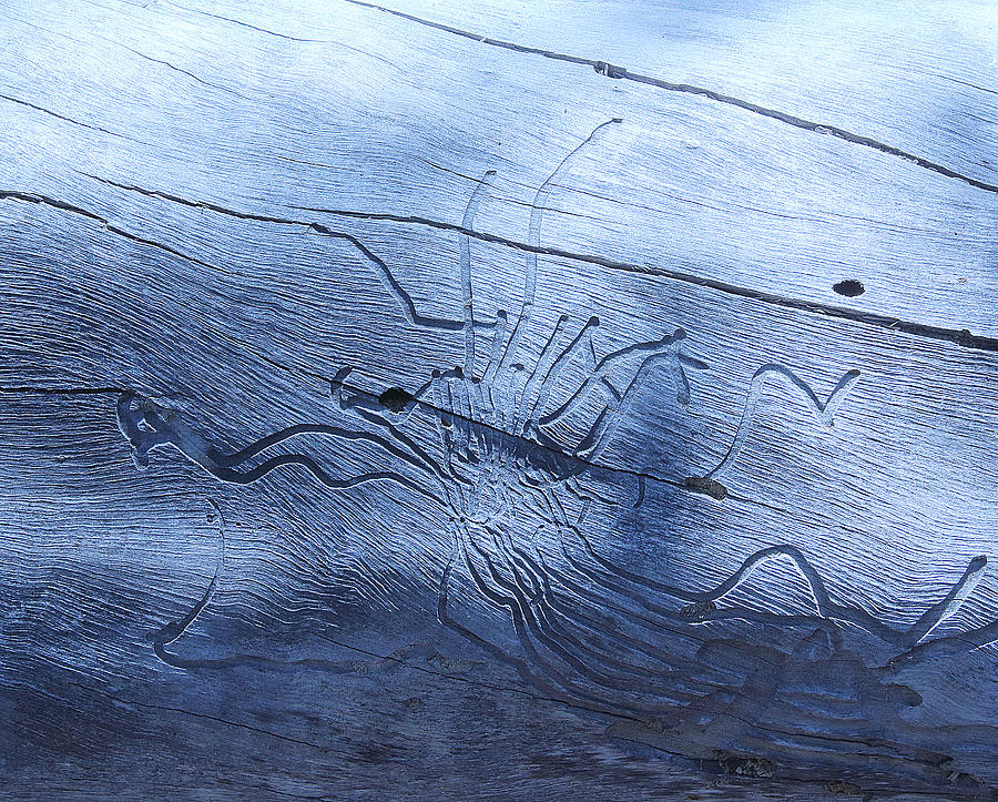 Mystery Of Writing On The Wood Photograph by Viktor Savchenko
