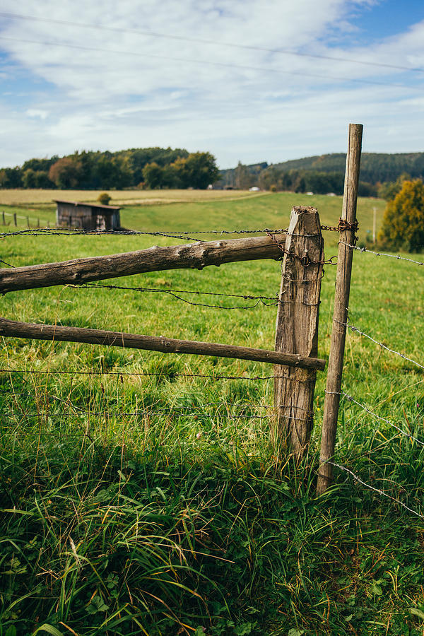 Wooden Meadow Fence Photograph