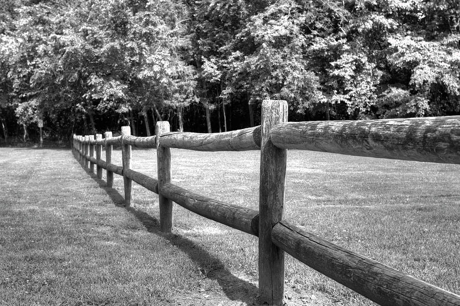 Wooden Post Fence Photograph by Ester McGuire