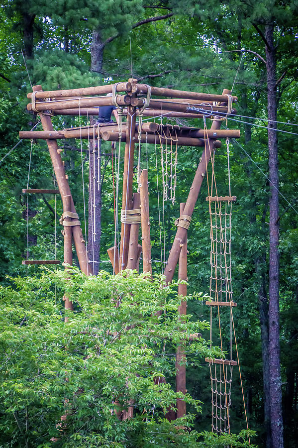 Wooden Rope Climbing Tower For Recreation In The Woods Photograph by Alex Grichenko
