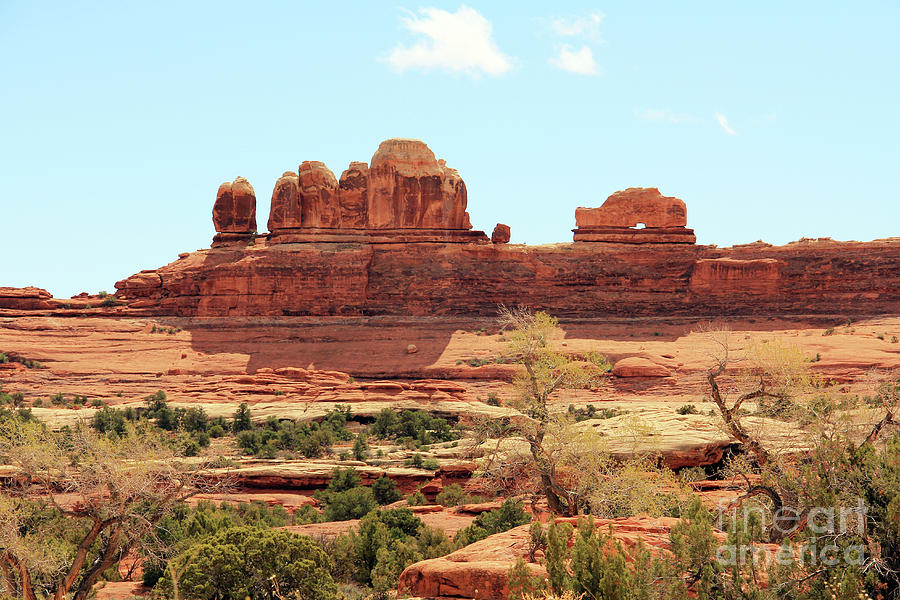 Wooden Shoe Arch in Canyonlands National Park 3327 Photograph by Jack Schultz
