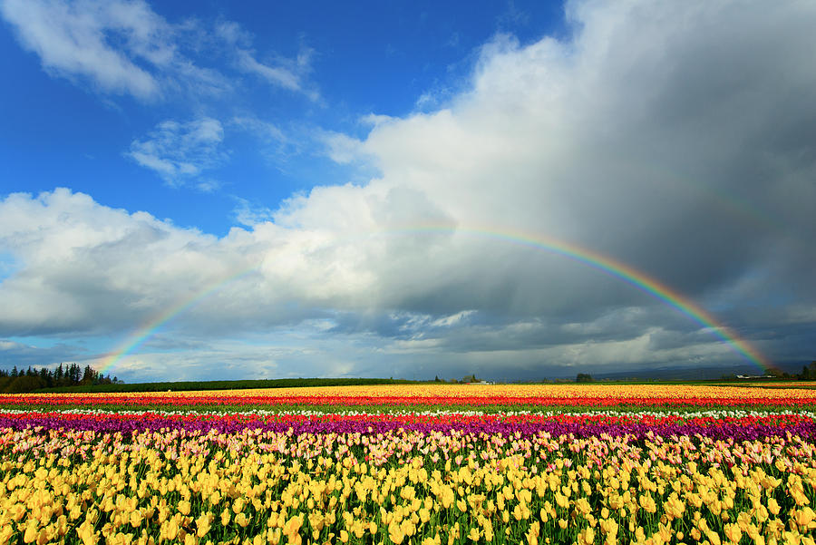 Wooden Shoe Rainbow Photograph by Patrick Campbell
