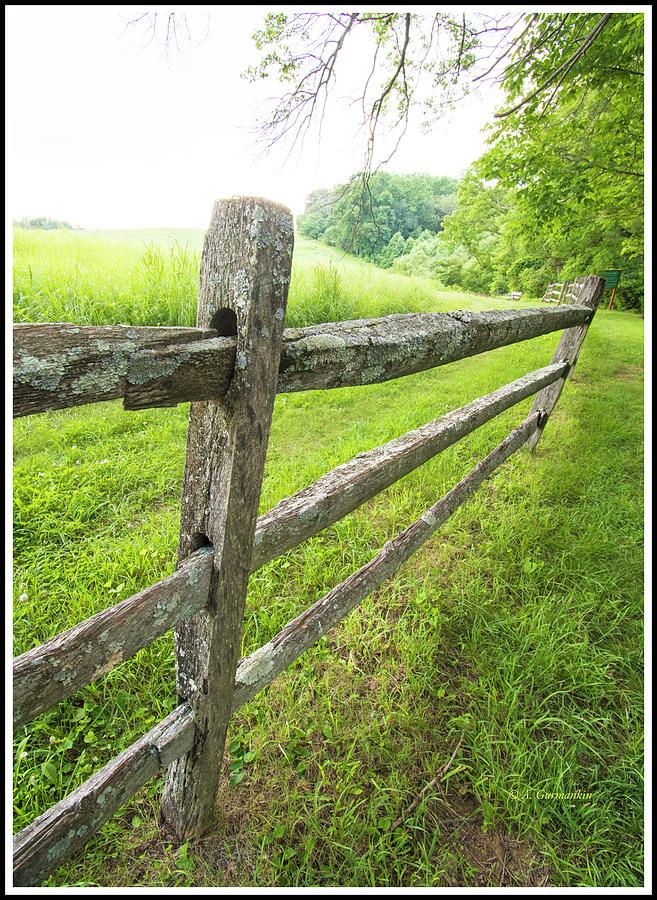 Wooden Slab Fence by a Country Meadow Photograph by A Macarthur Gurmankin