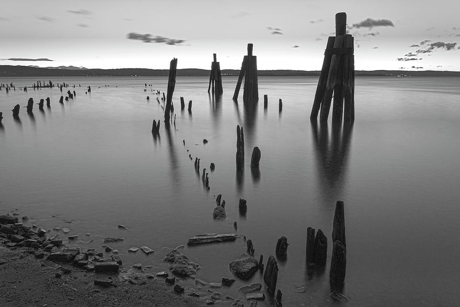 Wooden Soldiers Of The Hudson Monochrome Photograph by Angelo Marcialis