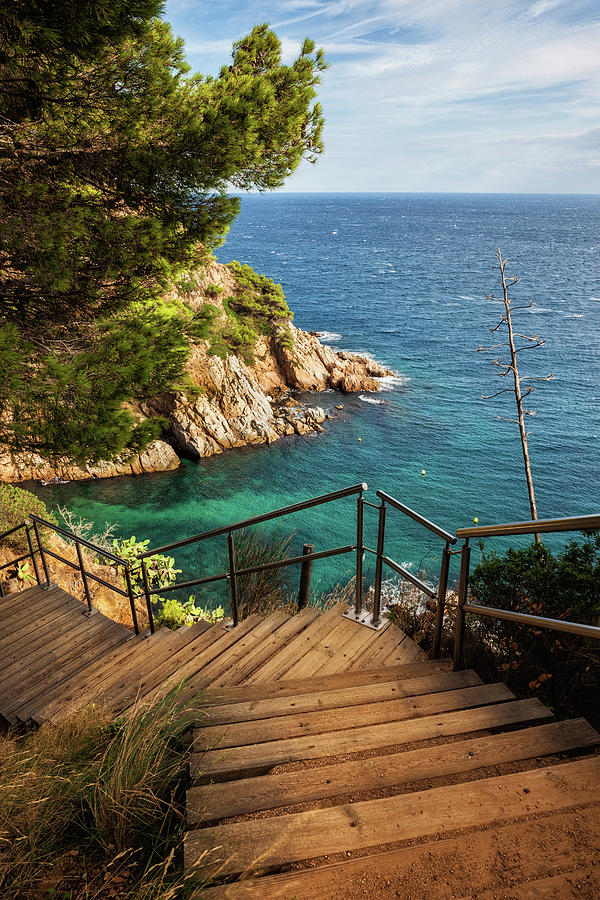 Nature Photograph - Wooden Stairs To The Sea by Artur Bogacki