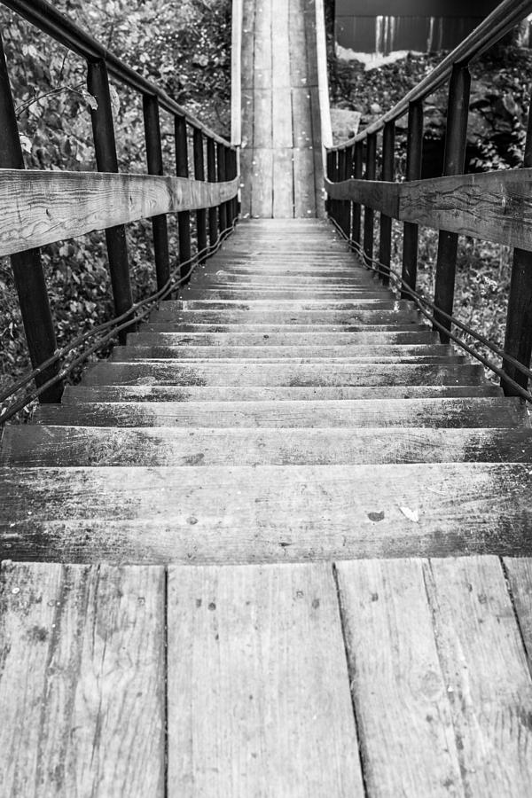 Wooden Steps Leading Down Photograph by John Williams