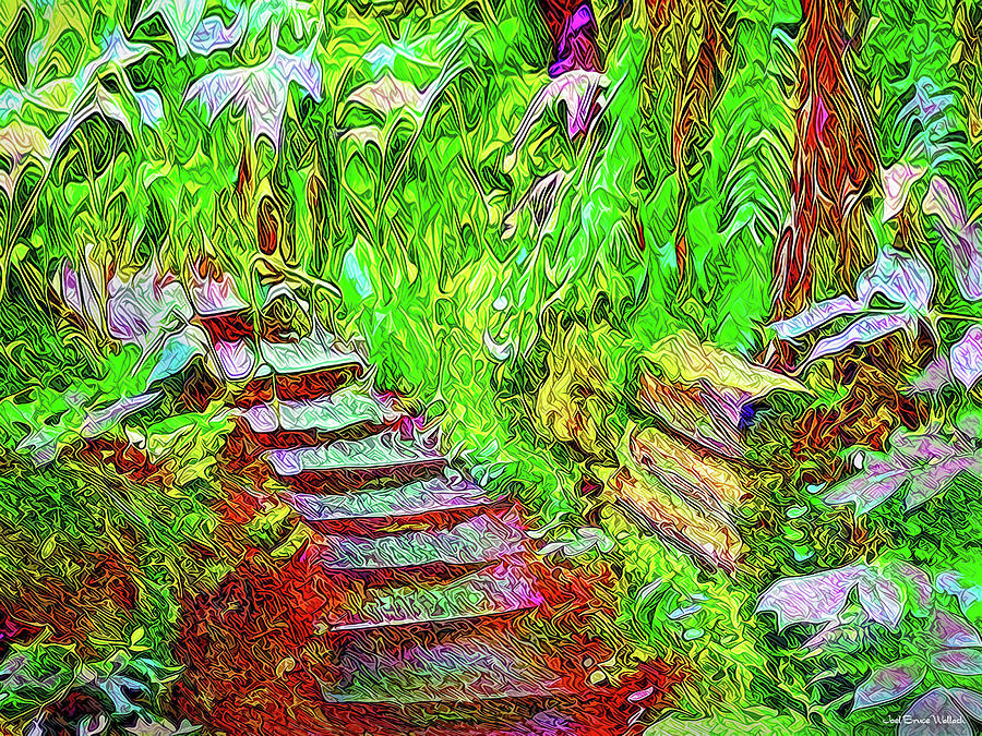 Wooden Steps Through The Forest - Tamalpais California Digital Art by Joel Bruce Wallach