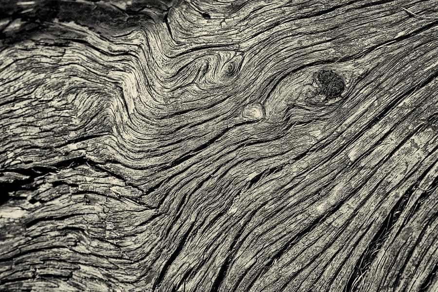 Wooden Texture Photograph by John Williams