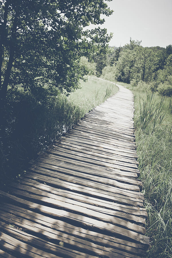 Wooden Trail in Forest in Retro Instagram Style Filter Photograph by Brandon Bourdages