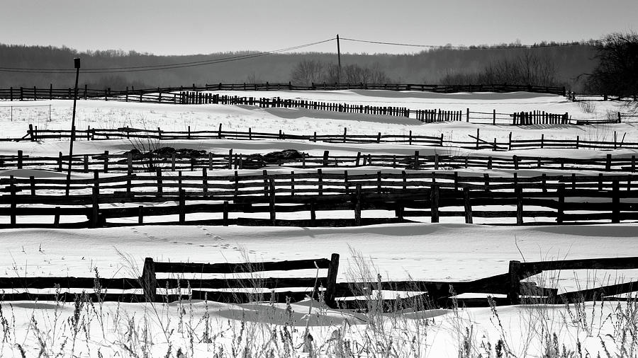 Repeating Fences in Snow Land Photograph by John Williams