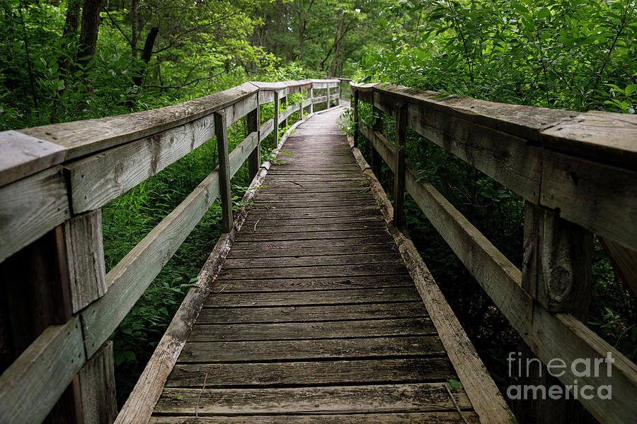 Wooden Walkway I Photograph by Dennis Hedberg
