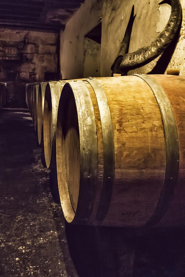 Wooden Wine Barrels Photograph by Georgia Clare
