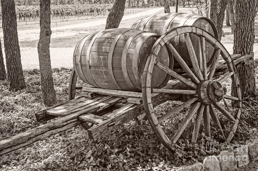 Wooden wine barrels on cart Photograph by Imagery by Charly
