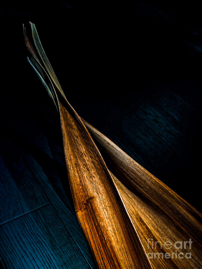 Woodgrained Photograph by James Aiken