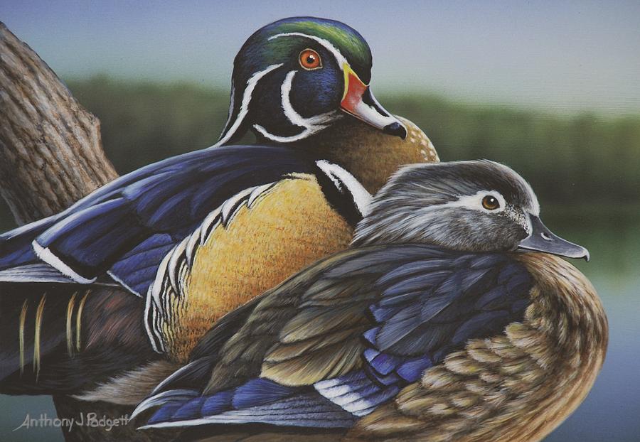 Woodies Painting by Anthony J Padgett