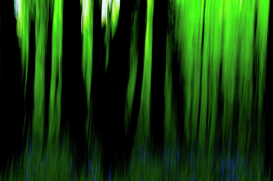 Woodland Abstract iv Photograph by Helen Jackson