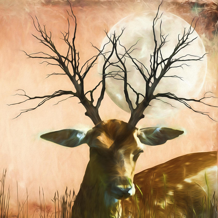Deer Photograph - Woodland Dusk by Sharon Lisa Clarke