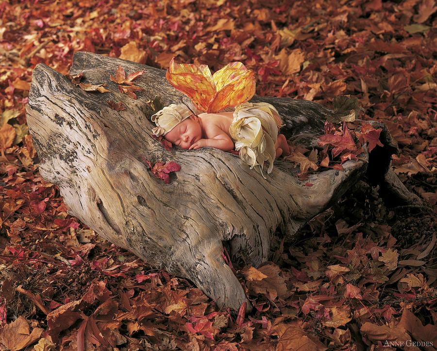 Fall Photograph - Woodland Fairy by Anne Geddes