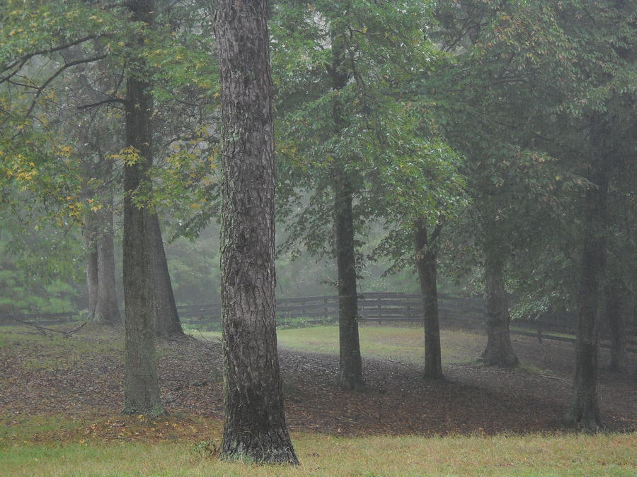 Woodland Farms Pasture Photograph by Jim Newman - Fine Art America