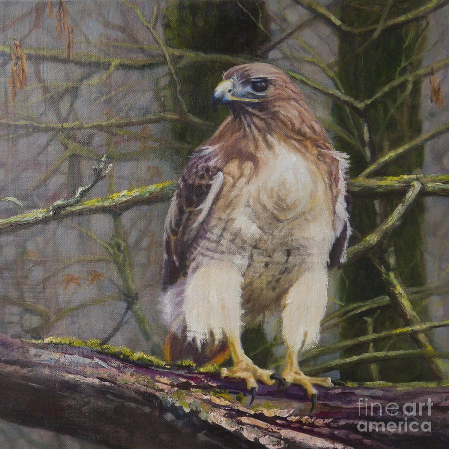 Hawk Oil Painting