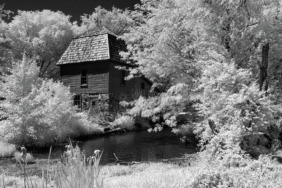 Black And White Photograph - Woodland Home by James Barber