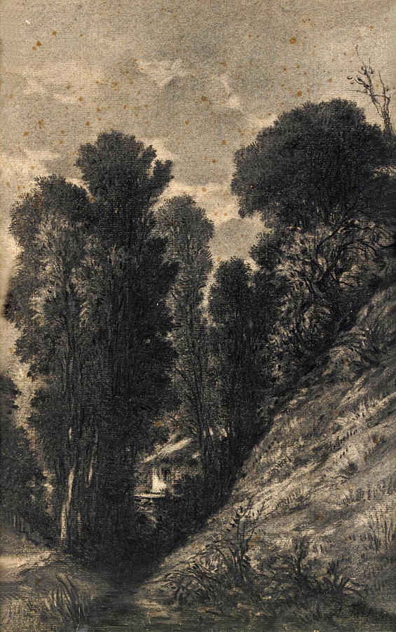 Woodland Landscape Drawing by Attributed to Antonio Fontanesi