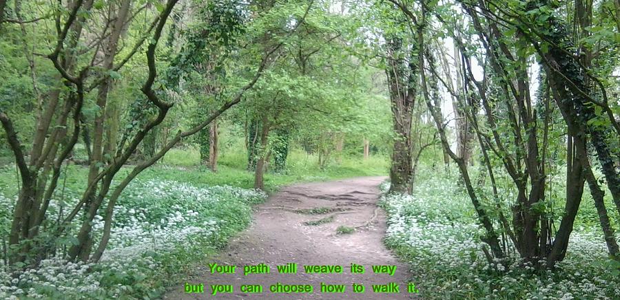 Woodland Path Photo with Quote Photograph by Julia Woodman