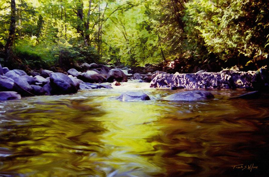 Woodland Pool Photograph by Frank Wilson