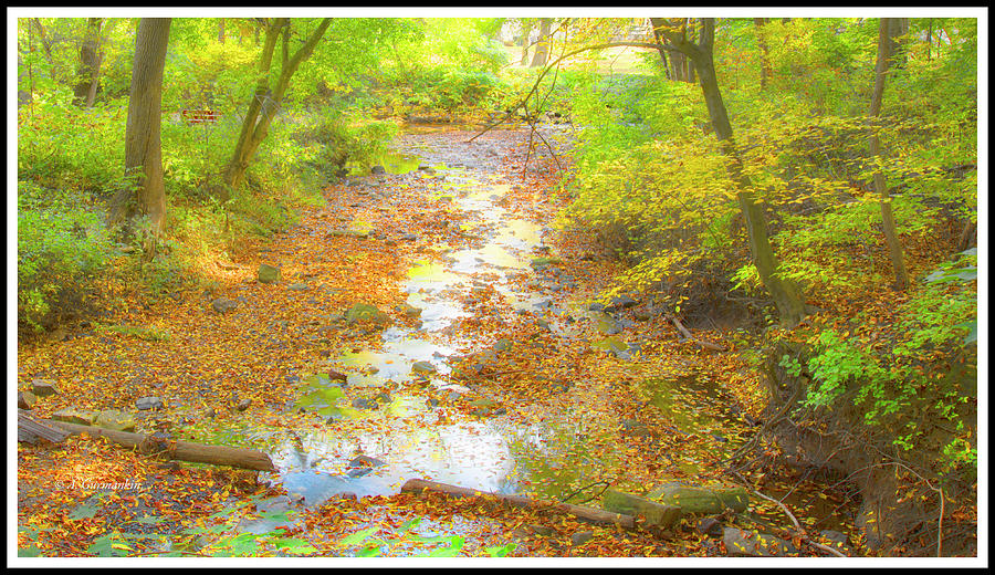 Woodland Rivulet in Autumn Photograph by A Macarthur Gurmankin