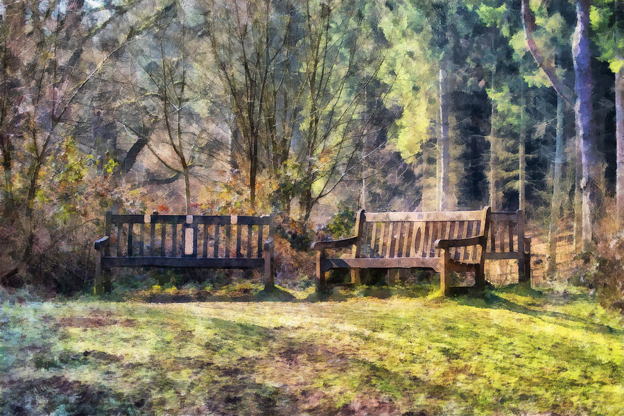 Woodland Seating Digital Art by Scott Carruthers