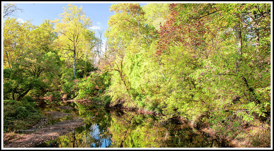 Woodland Stream in Fall, Montgomery County, Pennsylvania Photograph by A Macarthur Gurmankin