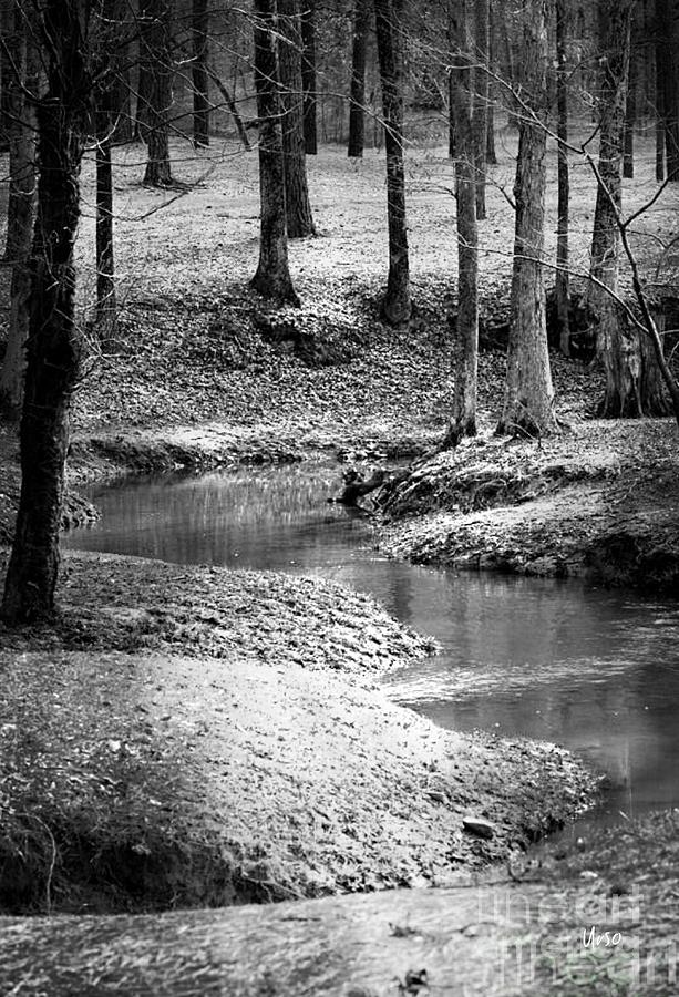 Woodland Stream Photograph by Maria Urso
