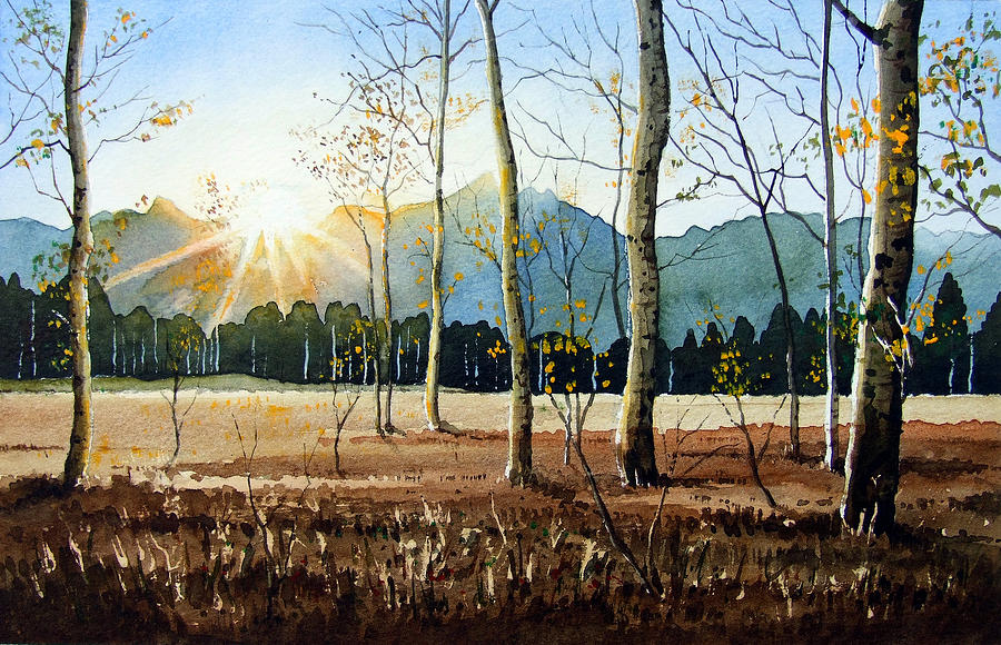 Woodland Sunset Painting by Paul Dene Marlor