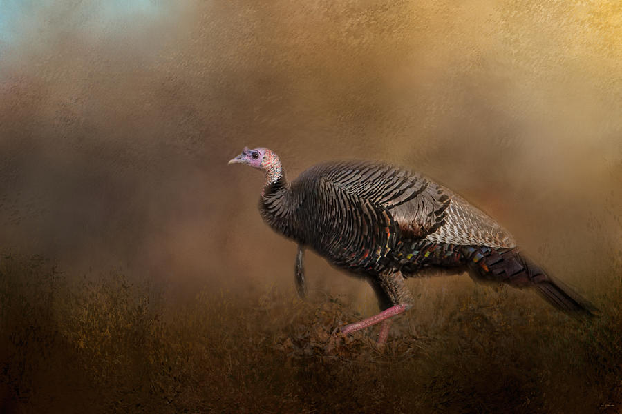 Animal Photograph - Woodland Walk - Wild Turkey Art by Jai Johnson