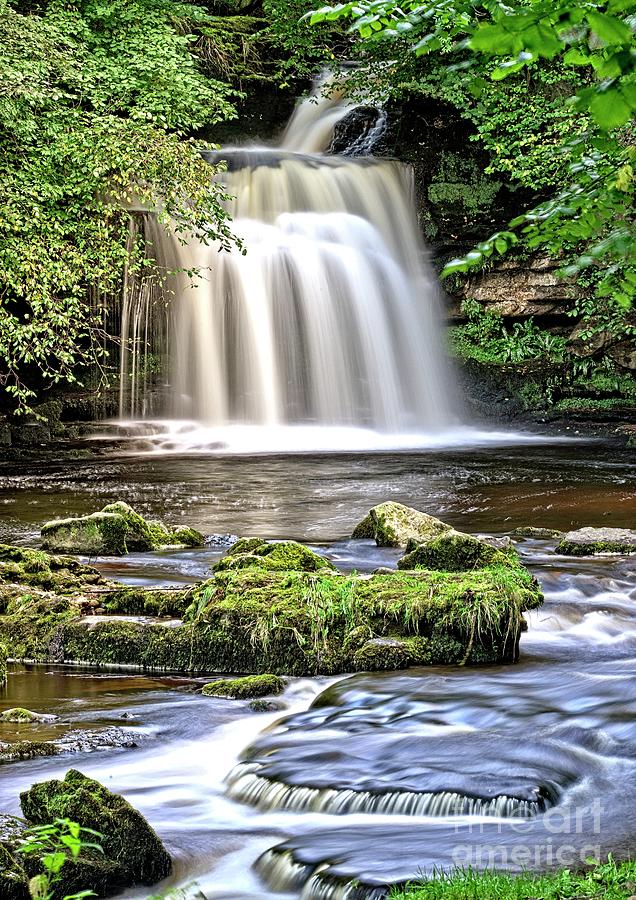 Woodland Waterfall Photograph by Martyn Arnold