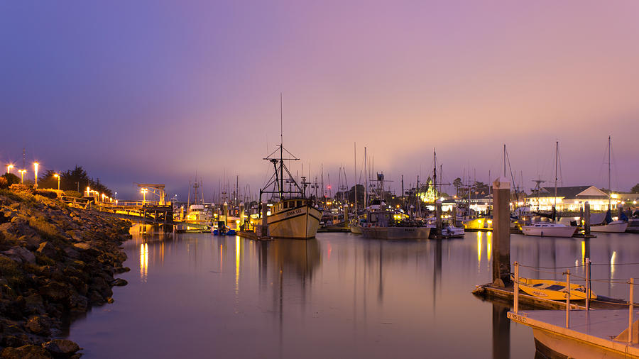 Boat Photograph - Woodley Island Marina at Night by Dana Crandell