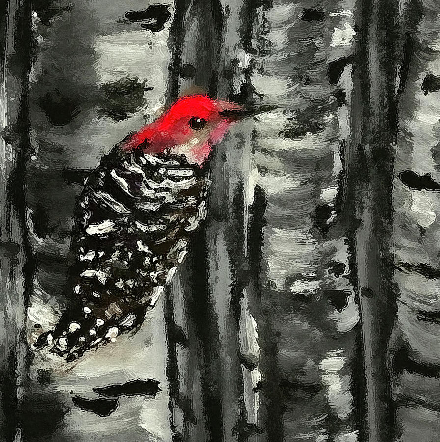 Woodpecker Painting - Woodpecker-2 by Daniel Xiao