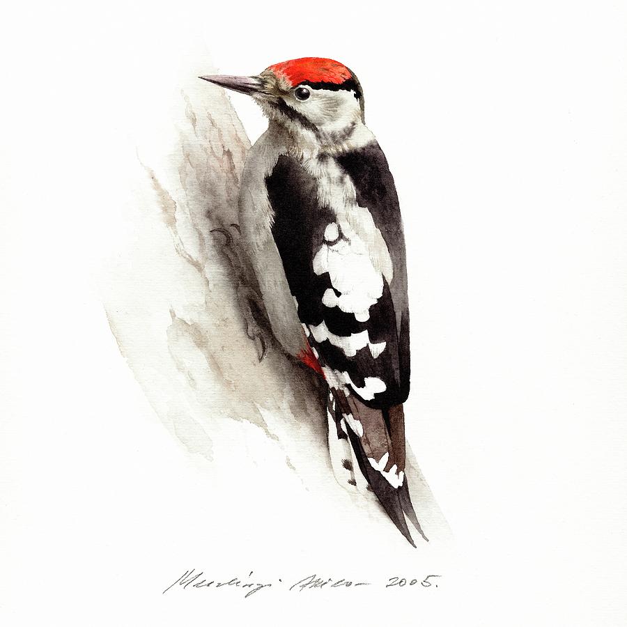 Woodpecker Painting by Attila Meszlenyi