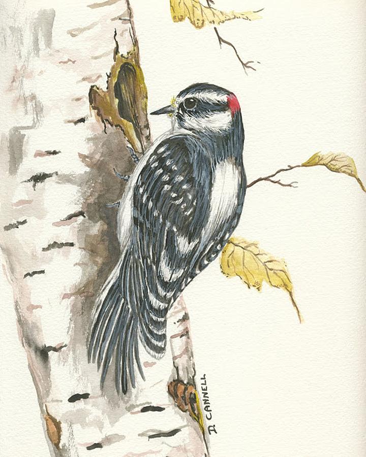 Woodpecker Painting by Darren Cannell