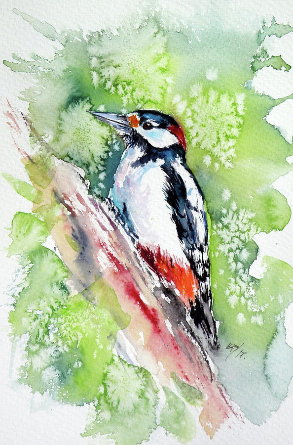 Woodpecker Painting by Kovacs Anna Brigitta