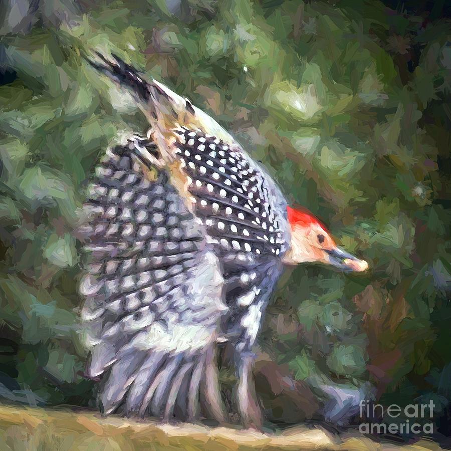 Woodpecker Wings Mixed Media by Kerri Farley