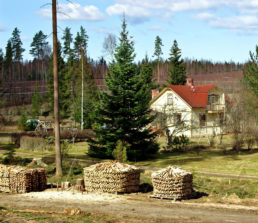 Woodpiles Photograph by Jarmo Honkanen