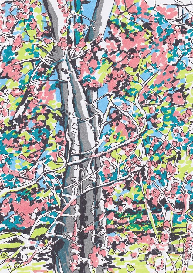 Tree Drawing - Woods #3 by Carolyn Alston Thomas