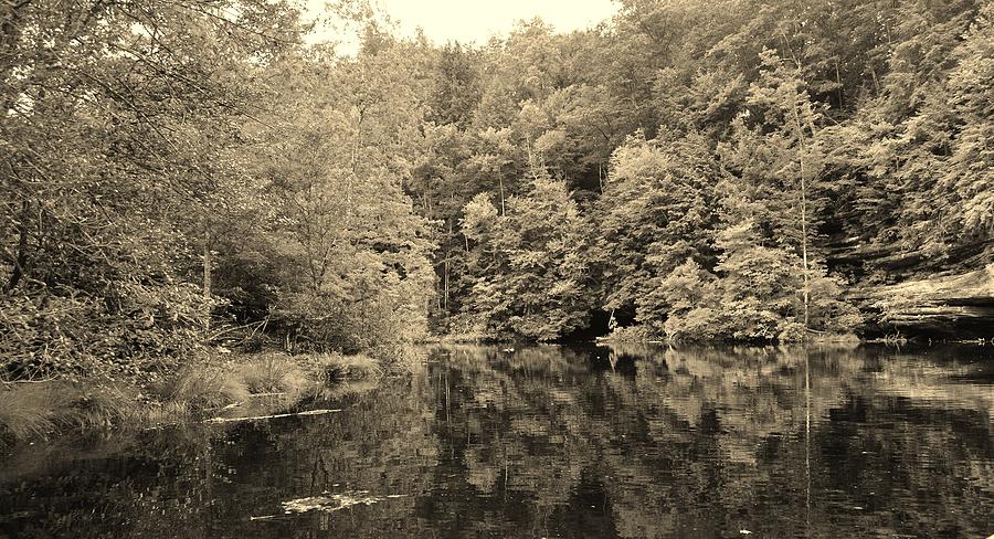 Woods Along the Lake Sepia Photograph by Stacie Siemsen