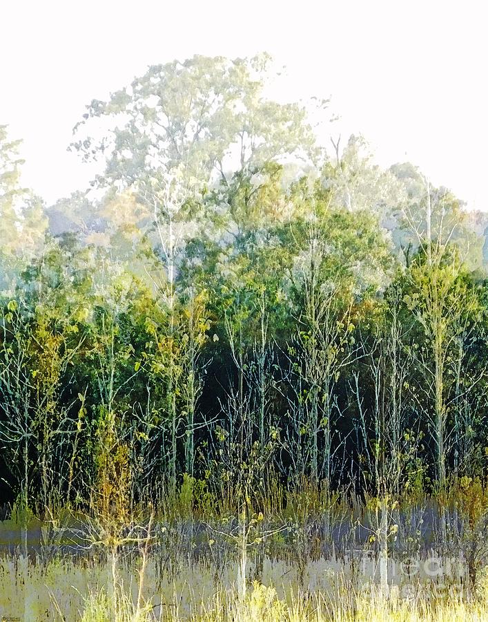 Woods Edge Burden Baton Rouge Digital Art by Lizi Beard-Ward