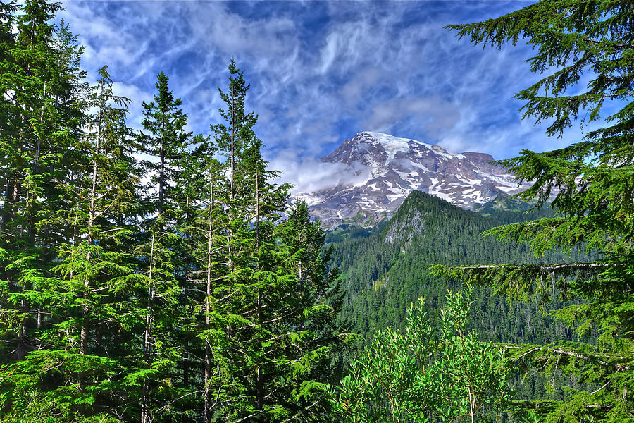 Woods Surrounding Mt. Rainier Photograph by Don Mercer Woods Surrounding Mt. Rainier Photograph by Don Mercer
