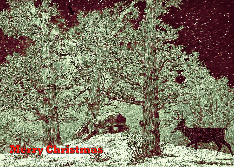 Woodsy Christmas Card Digital Art by John Haldane