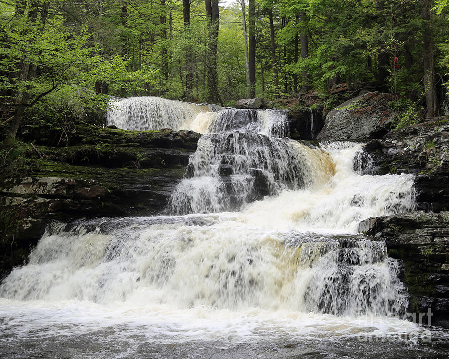 Woodsy Waterfall Photograph by Mike Batson Photography - Fine Art America